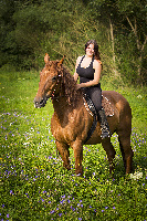 Portrét s koněm